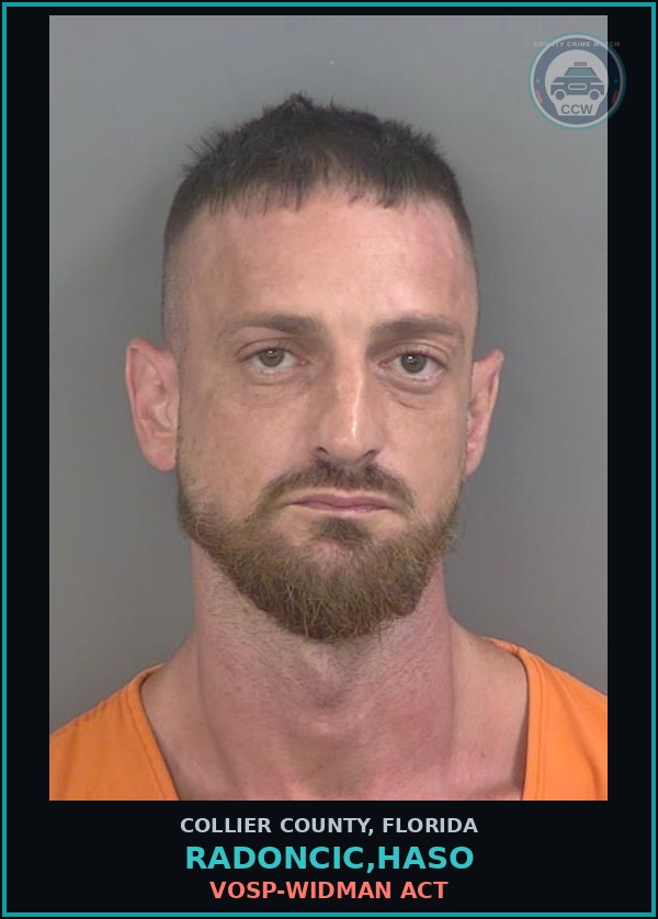 Booking mugshot of RADONCIC,HASO in Collier County