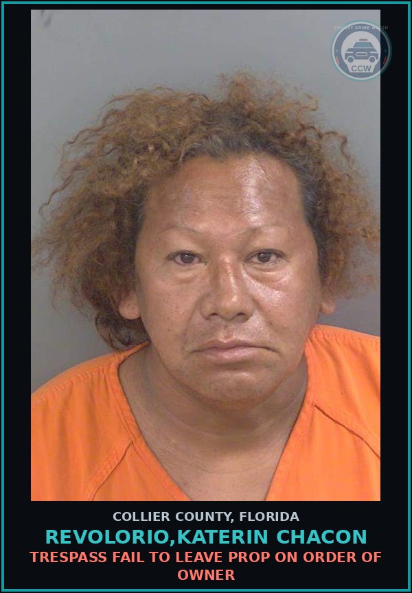 Booking mugshot of REVOLORIO,KATERIN CHACON in Collier County