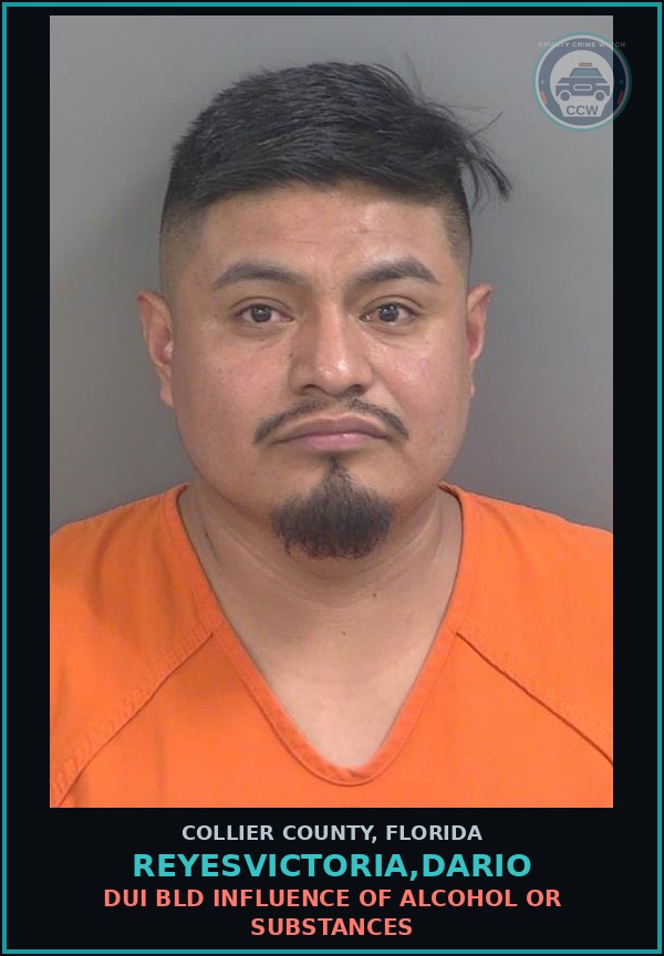 Booking mugshot of REYESVICTORIA,DARIO in Collier County