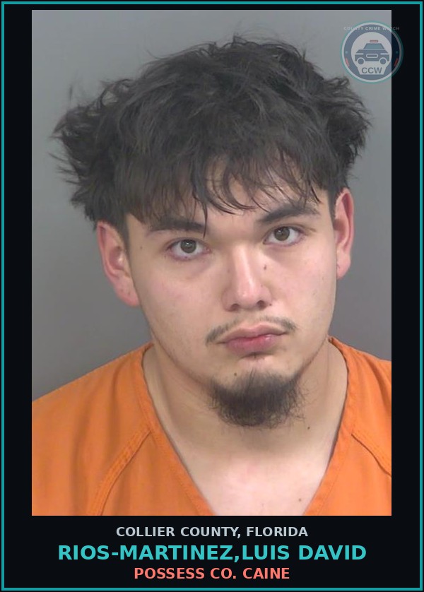 Booking mugshot of RIOS-MARTINEZ,LUIS DAVID in Collier County