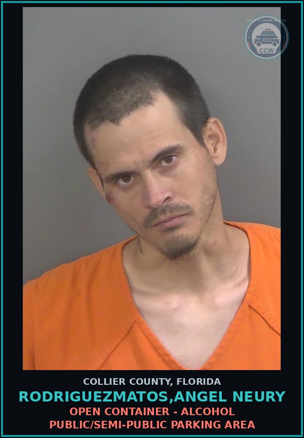 Booking mugshot of RODRIGUEZMATOS,ANGEL NEURY in Collier County