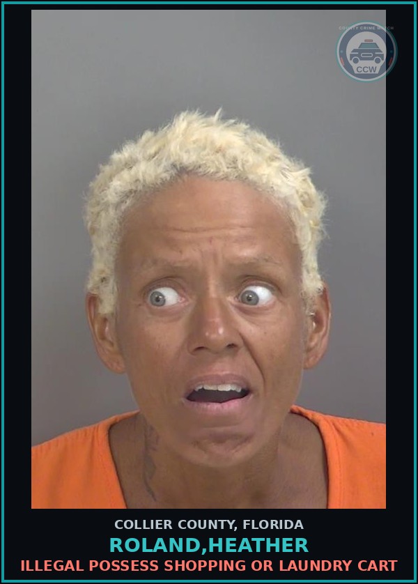 Booking mugshot of ROLAND,HEATHER in Collier County