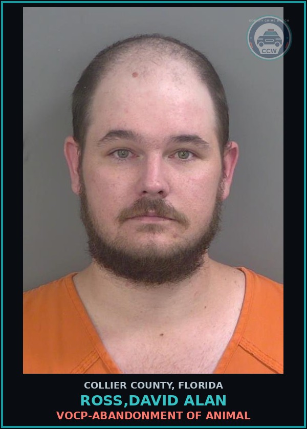 Booking mugshot of ROSS,DAVID ALAN in Collier County