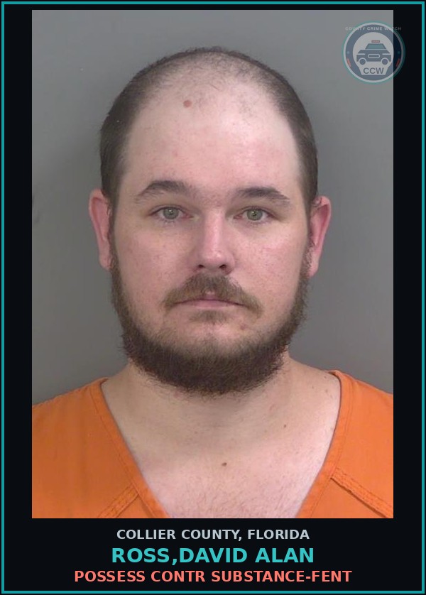 Booking mugshot of ROSS,DAVID ALAN in Collier County