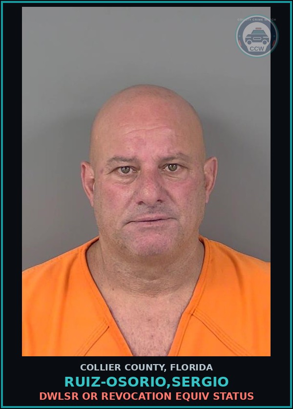 Booking mugshot of RUIZ-OSORIO,SERGIO in Collier County