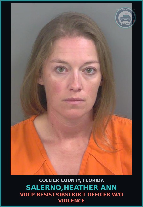 Booking mugshot of SALERNO,HEATHER ANN in Collier County