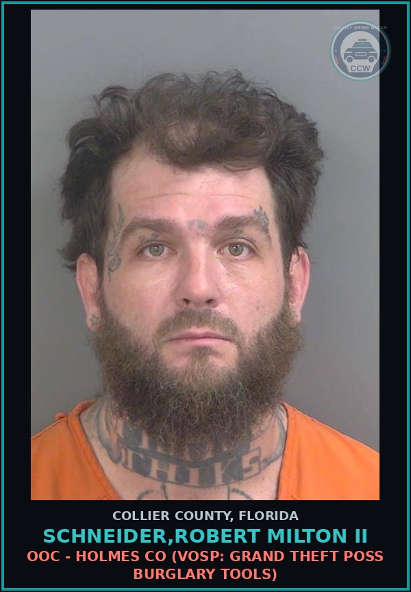 Booking mugshot of SCHNEIDER,ROBERT MILTON II in Collier County