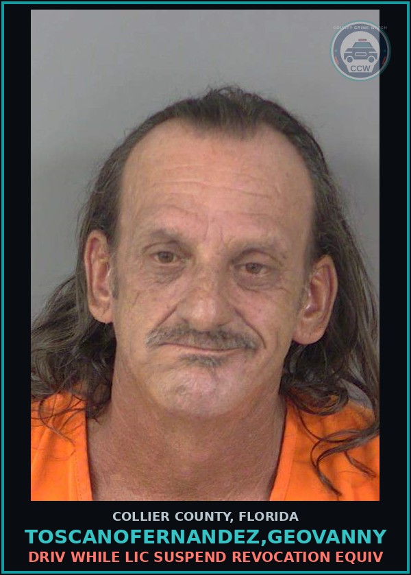 Booking mugshot of TOSCANOFERNANDEZ,GEOVANNY in Collier County