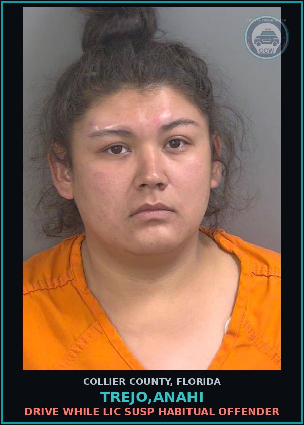 Booking mugshot of TREJO,ANAHI in Collier County