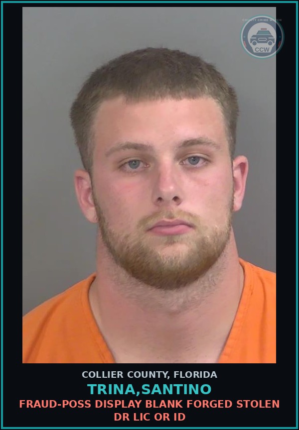 Booking mugshot of TRINA,SANTINO in Collier County