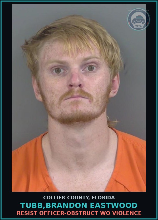 Booking mugshot of TUBB,BRANDON EASTWOOD in Collier County