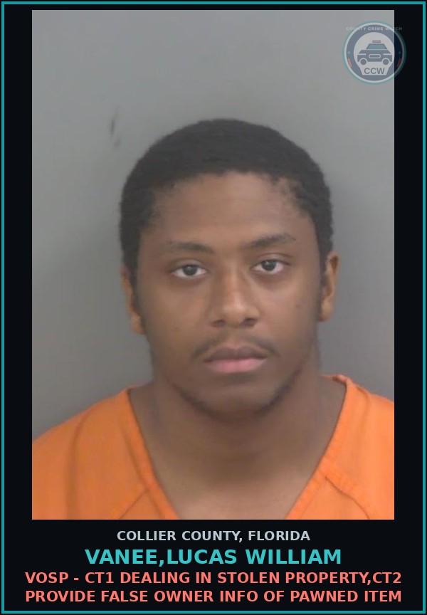 Booking mugshot of VANEE,LUCAS WILLIAM in Collier County