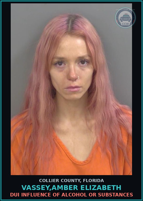 Booking mugshot of VASSEY,AMBER ELIZABETH in Collier County