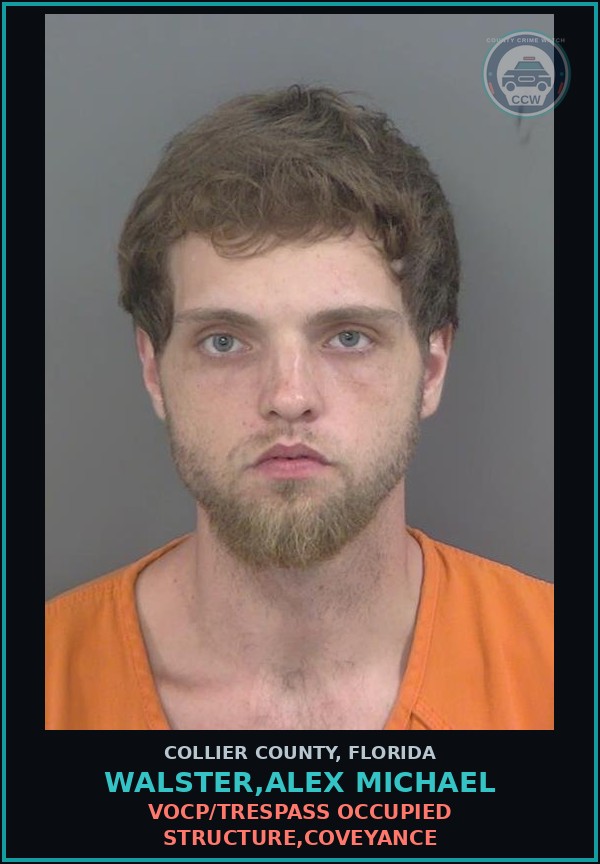 Booking mugshot of WALSTER,ALEX MICHAEL in Collier County