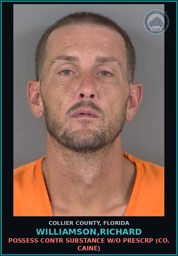 Booking mugshot of WILLIAMSON,RICHARD in Collier County