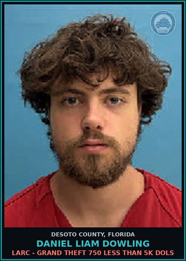 Booking mugshot of Daniel Liam Dowling in DeSoto County