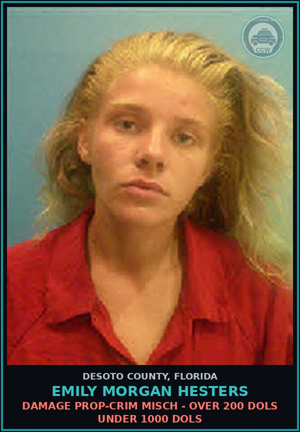 Booking mugshot of Emily Morgan Hesters in DeSoto County