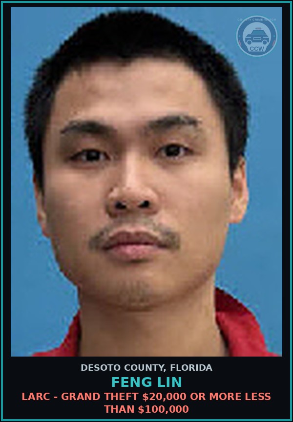 Booking mugshot of Feng Lin in DeSoto County
