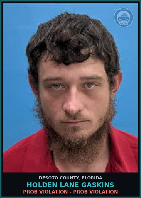 Booking mugshot of Holden Lane Gaskins in DeSoto County