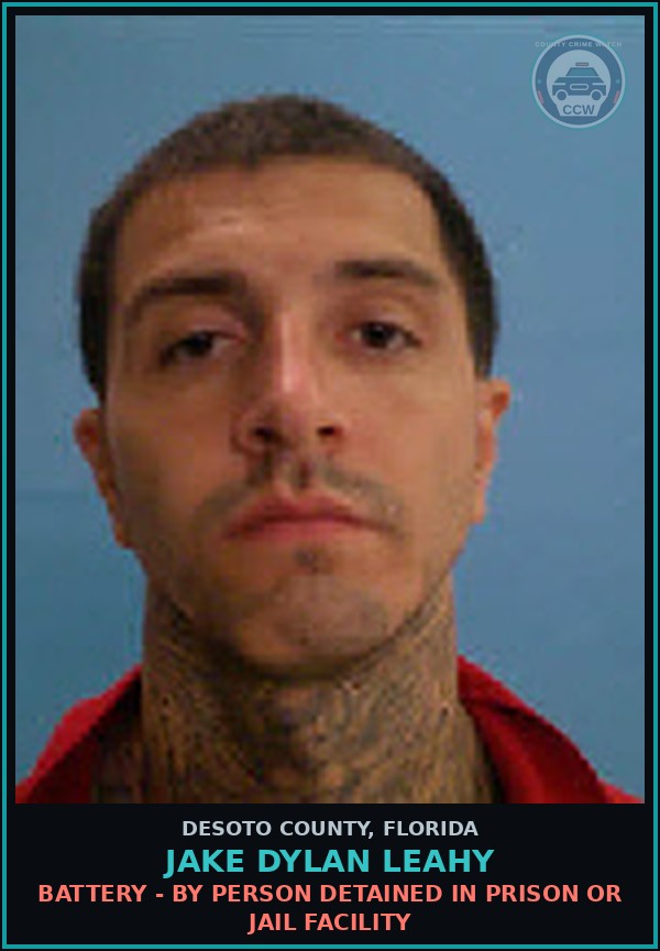 Booking mugshot of Jake Dylan Leahy in DeSoto County