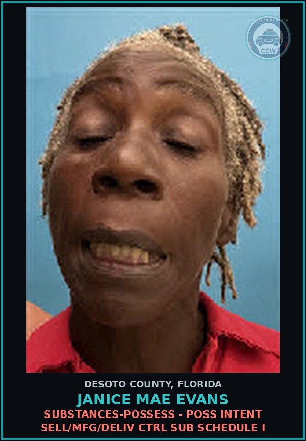 Booking mugshot of Janice Mae Evans in DeSoto County