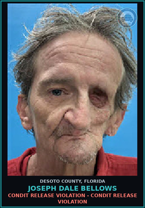 Booking mugshot of Joseph Dale Bellows in DeSoto County