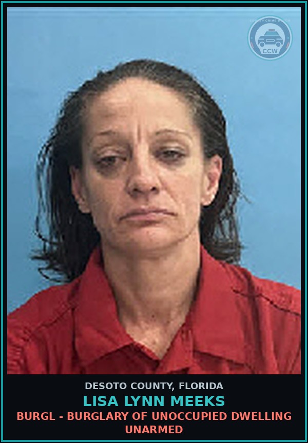 Booking mugshot of Lisa Lynn Meeks in DeSoto County