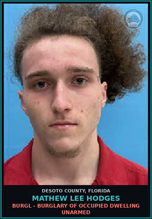 Booking mugshot of Mathew Lee Hodges in DeSoto County
