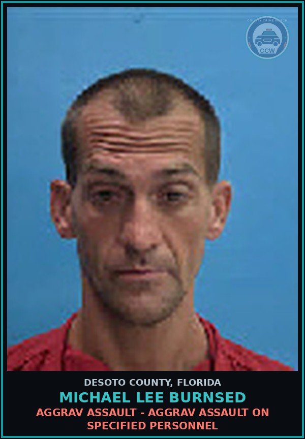 Booking mugshot of Michael Lee Burnsed in DeSoto County