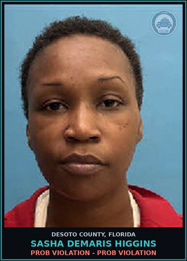 Booking mugshot of Sasha Demaris Higgins in DeSoto County
