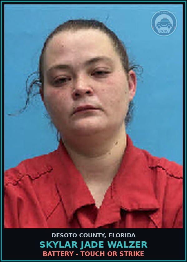 Booking mugshot of Skylar Jade Walzer in DeSoto County