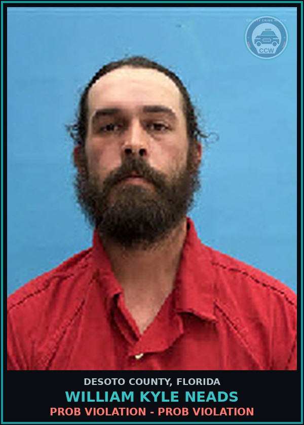 Booking mugshot of William Kyle Neads in DeSoto County