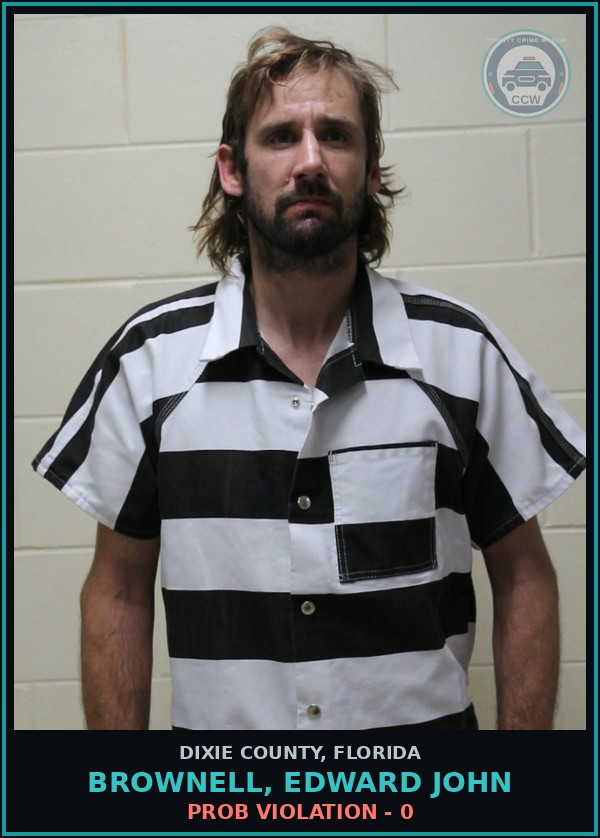 Booking mugshot of BROWNELL, EDWARD JOHN in Dixie County