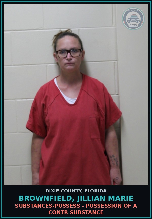 Booking mugshot of BROWNFIELD, JILLIAN MARIE in Dixie County