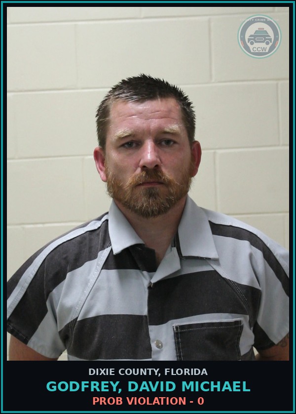 Booking mugshot of GODFREY, DAVID MICHAEL in Dixie County