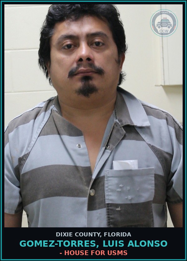 Booking mugshot of GOMEZ-TORRES, LUIS ALONSO in Dixie County