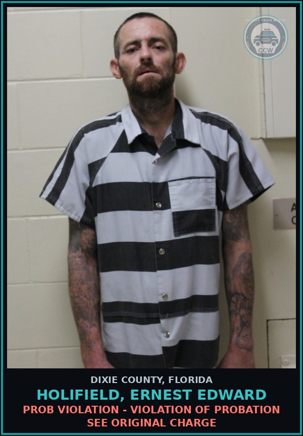 Booking mugshot of HOLIFIELD, ERNEST EDWARD in Dixie County