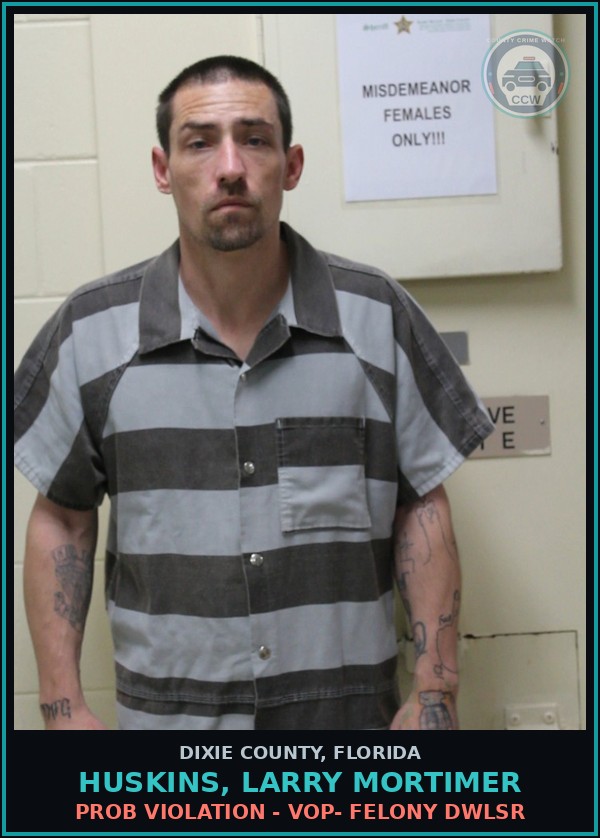 Booking mugshot of HUSKINS, LARRY MORTIMER in Dixie County