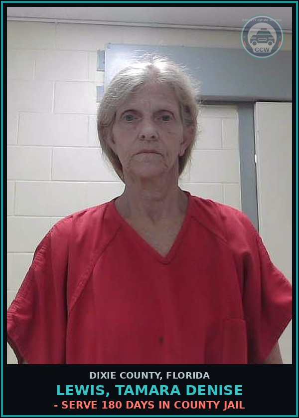 Booking mugshot of LEWIS, TAMARA DENISE in Dixie County