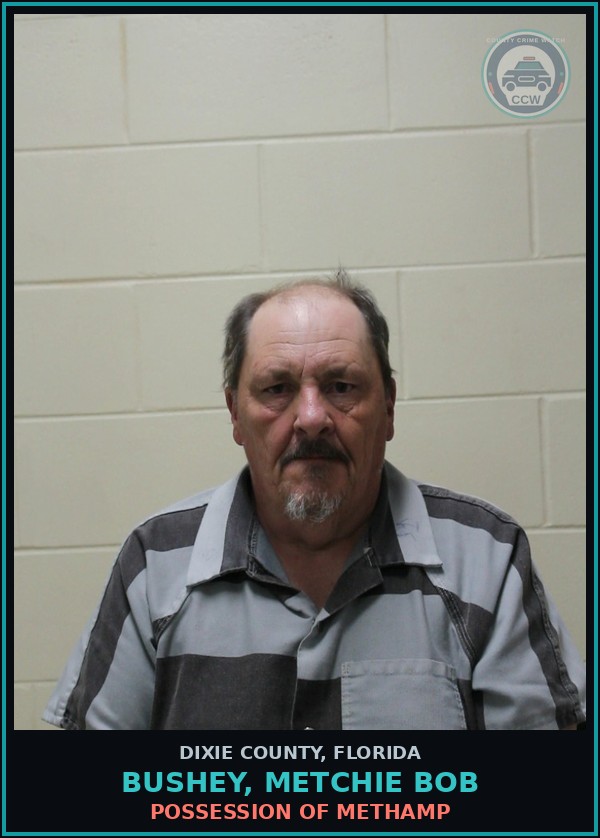 Booking mugshot of BUSHEY, METCHIE BOB in Dixie County
