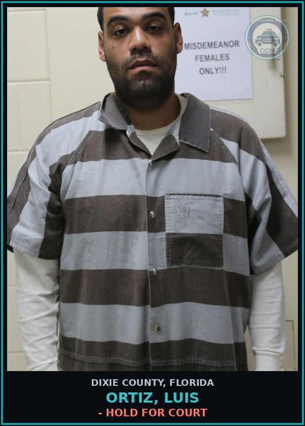 Booking mugshot of ORTIZ, LUIS in Dixie County