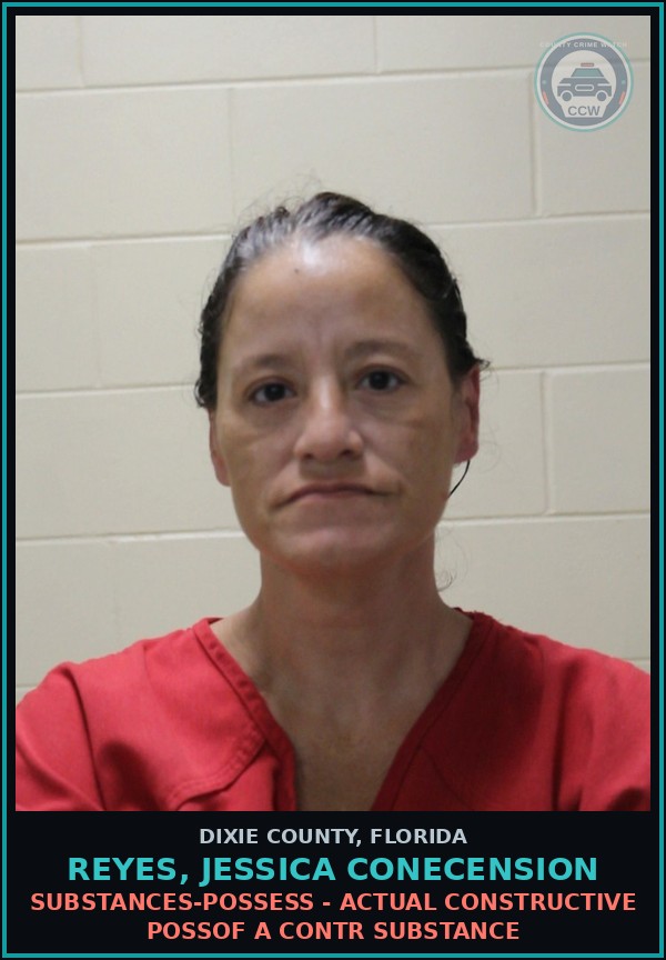 Booking mugshot of REYES, JESSICA CONECENSION in Dixie County