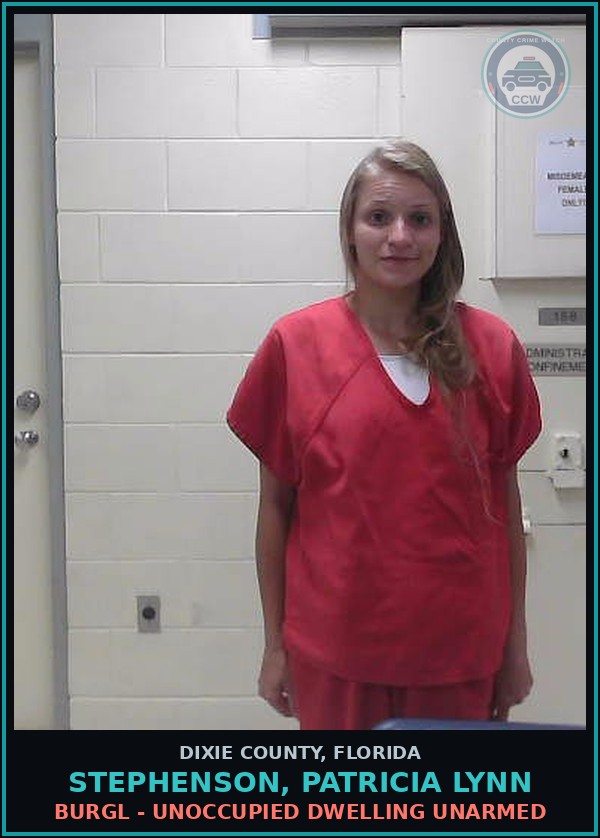 Booking mugshot of STEPHENSON, PATRICIA LYNN in Dixie County