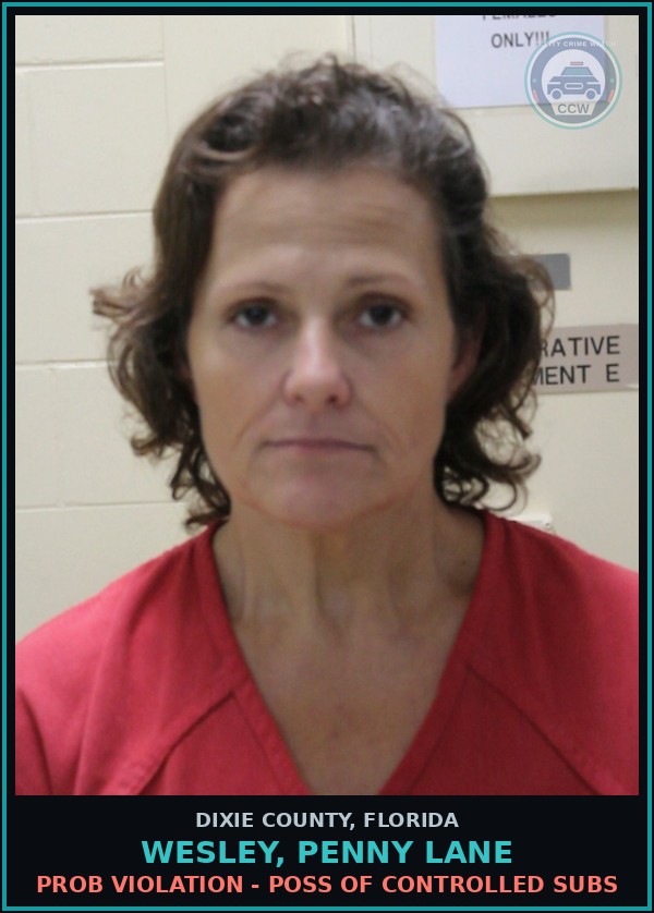 Booking mugshot of WESLEY, PENNY LANE in Dixie County