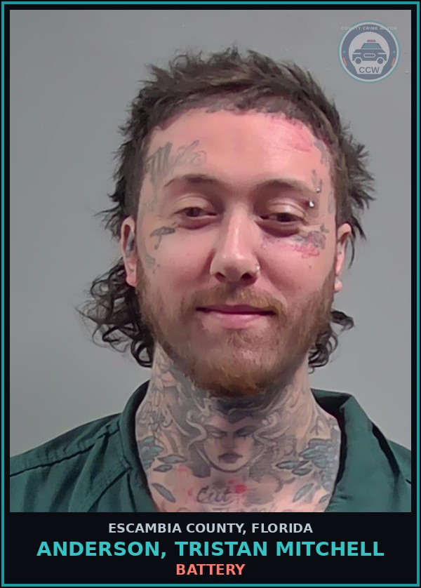 Booking mugshot of ANDERSON, TRISTAN MITCHELL in Escambia County