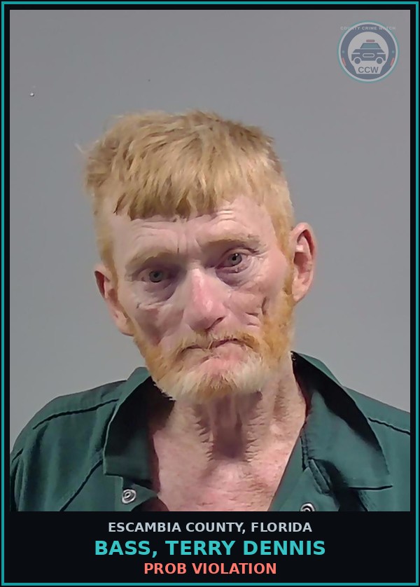 Booking mugshot of BASS, TERRY DENNIS in Escambia County