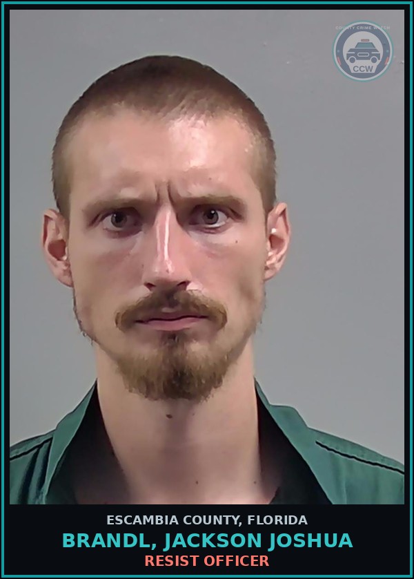 Booking mugshot of BRANDL, JACKSON JOSHUA in Escambia County