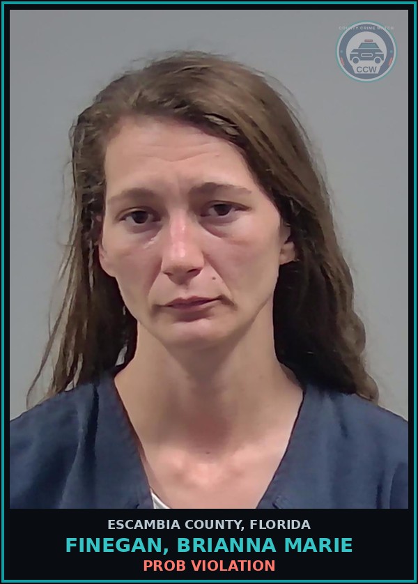 Booking mugshot of FINEGAN, BRIANNA MARIE in Escambia County