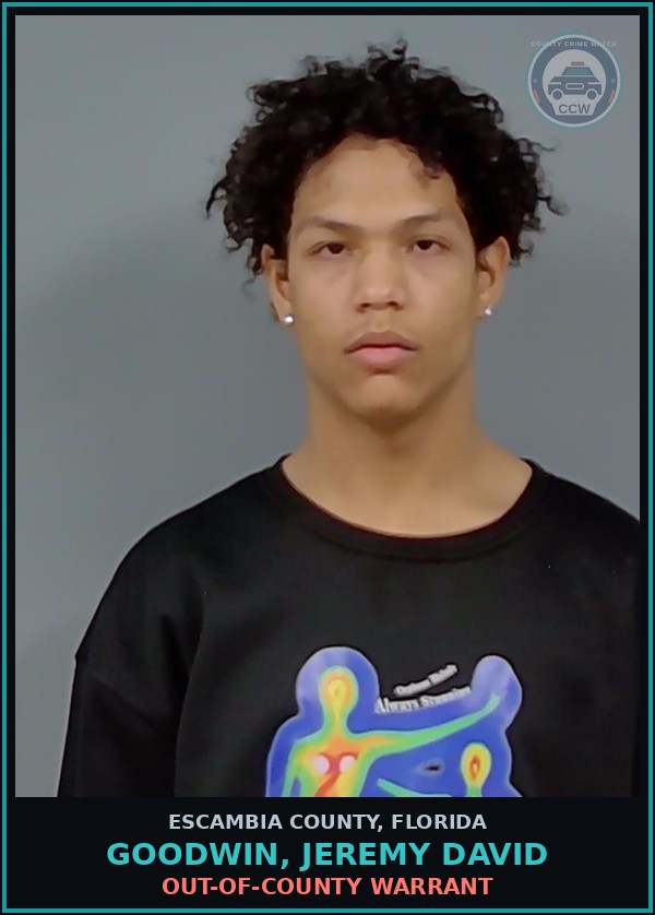 Booking mugshot of GOODWIN, JEREMY DAVID in Escambia County