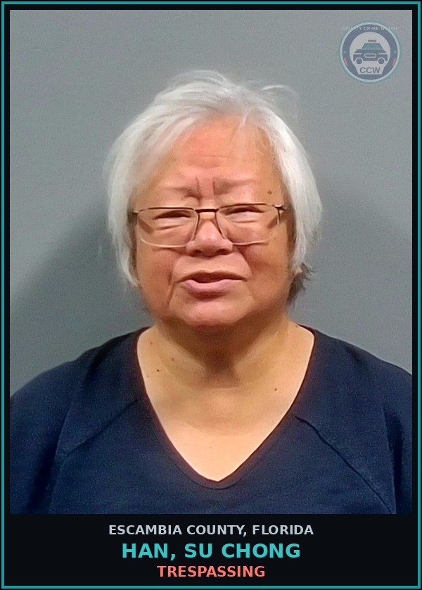 Booking mugshot of HAN, SU CHONG in Escambia County